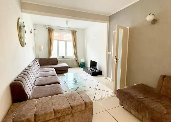 Large 6-bedroom House, Close To Center, Chr Villa Lille