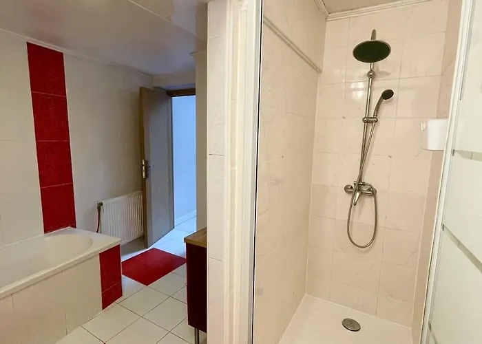 Large 6-bedroom House, Close To Center, Chr Lille