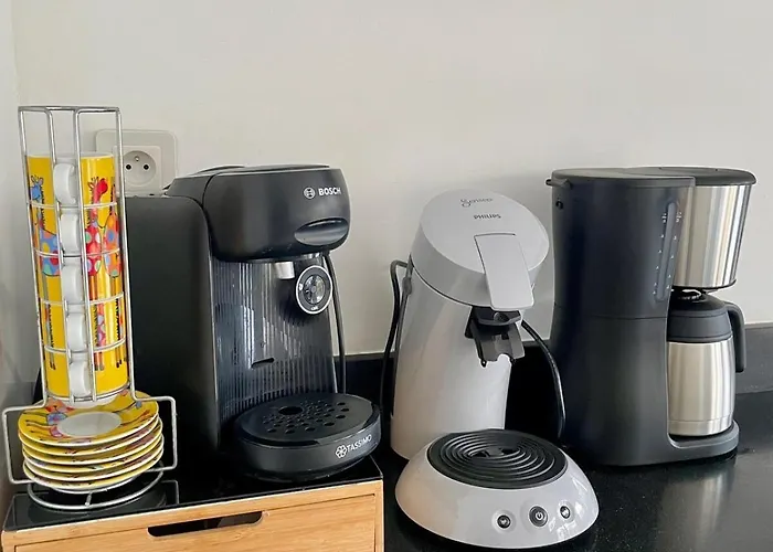 Large 6-bedroom House, Close To Center, Chr Lille